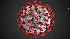 A microscopic view of the covid-19 virus.